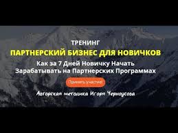 Точная и Проверенная система Гарантированного заработка для Интернет Новичков. 2.ч. 